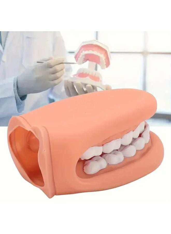 Dental Practice Model With Mouth Puppet Tongue PVC Oral Hygiene Demonstration Tool - Image 4